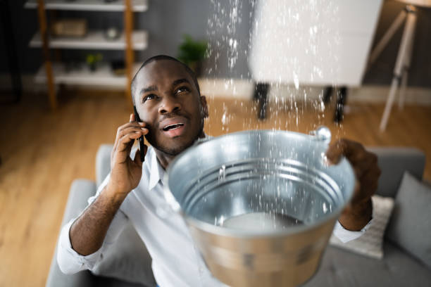 Best Water damage restoration process  in Choctaw Lake, OH