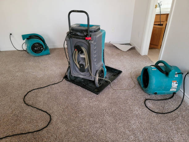 Best Residential water damage restoration  in Choctaw Lake, OH