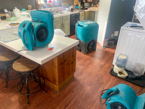 Best Water damage restoration mold remediation  in Choctaw Lake, OH