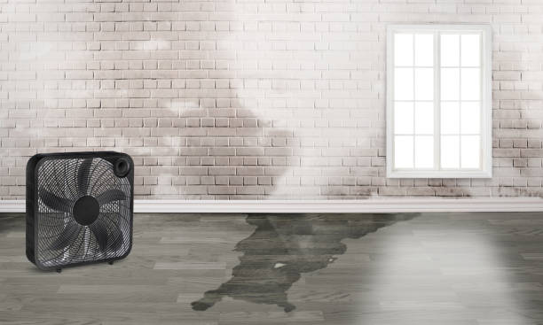 Best Emergency water damage restoration  in Choctaw Lake, OH
