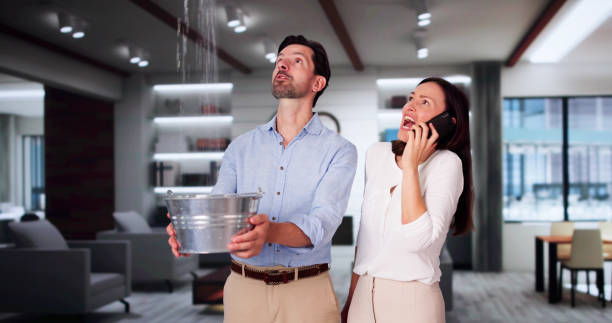 Best Professional water damage repair  in Choctaw Lake, OH